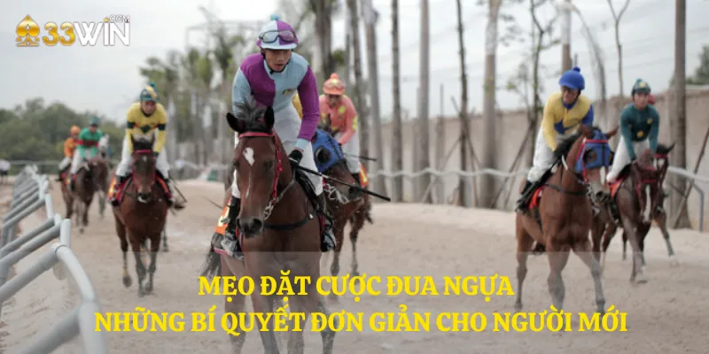 Mẹo đặt cược đua ngựa - Những bí quyết đơn giản cho người mới